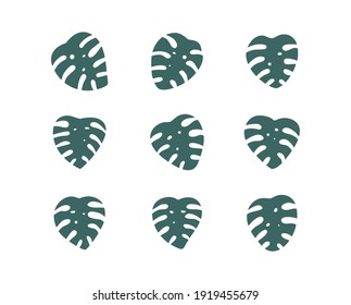 Monstera leaf vector sign set. Green leaves collection, isolated on white background. Simple cartoon flat design.