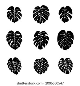 Monstera Leaf Vector Siluet Black