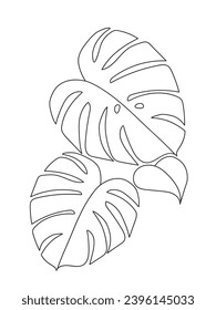 Monstera Leafs Illustration Pattern and Poster