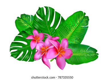 Monstera leaf.Tropical plant. Tropical flower. Green leaf.Drawing for a postcard, card, poster.A palm leaf. A banana leaf. Tropical vegetation. Plumeria.