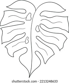 Monstera leave line vector outline