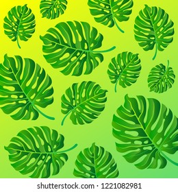 Monstera leaves abstract gradient background.