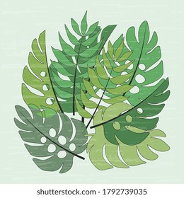 Monstera leaves. Abstract vector illustration with green leaves. Summer tropical design.
