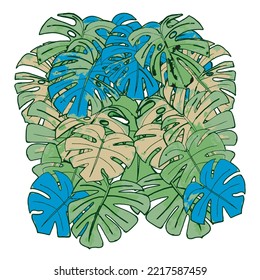 Monstera deja la costilla de Adán. Diseño vectorial con hojas de palma verdes y azules. Está aislado en un fondo blanco.