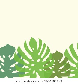 Monstera leaves background on light yellow background vector illustration hand draw desing 