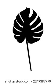 Monstera Leaves Design Vector in Black and White Color.