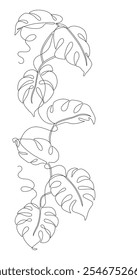 Hojas de Monstera dibujadas en línea continua en estilo minimalista, plantas tropicales, línea única, Anuncio de Vertical, contorno de Vector editable.