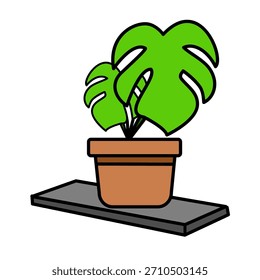 Monstera Leaves Drooping Over Shelf