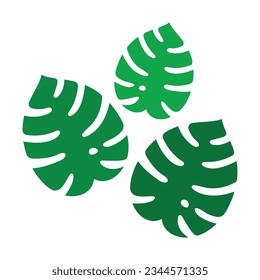 monstera leaves flat vector illustration logo icon clipart