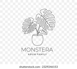 Monstera with leaves in flowerpot, climbing plant, linear graphic design. Monstera deliciosa or philodendron,  plant, nature and flora, vector design and illustration