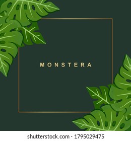 Monstera leaves frame background, Realistic house plants. 
