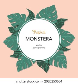 ilustración vectorial de hojas monsteras 