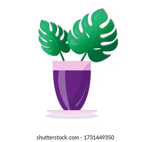 Monstera leaves in a glass.
Vector decorative composition.
