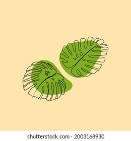 Monstera leaves with green abstract design elements on the background. Minimalistic tropical design.
