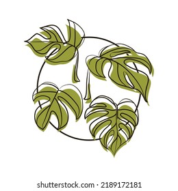 Monstera leaves with hand drawing style on circle shape background.