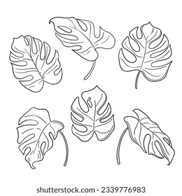 Monstera leaves. Monstera leaf outline. hand drawn monstera leaf illustration. Vector Illustration. Tropical jungle Monstera leaves isolated on white background. Swiss Cheese Plant. Monstereae. sketch