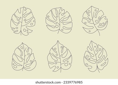 Monstera leaves. Monstera leaf outline. hand drawn monstera leaf illustration. Vector Illustration. Tropical jungle Monstera leaves isolated on white background. Swiss Cheese Plant. Monstereae. sketch