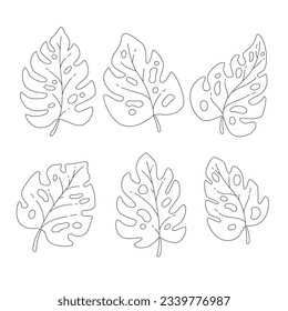 Monstera leaves. Monstera leaf outline. hand drawn monstera leaf illustration. Vector Illustration. Tropical jungle Monstera leaves isolated on white background. Swiss Cheese Plant. Monstereae. sketch