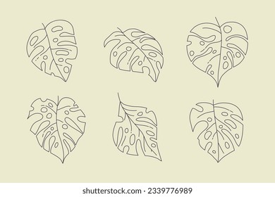 Monstera leaves. Monstera leaf outline. hand drawn monstera leaf illustration. Vector Illustration. Tropical jungle Monstera leaves isolated on white background. Swiss Cheese Plant. Monstereae. sketch