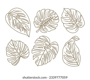 Las hojas de Monstera. Esquema de hoja de Monstera. ilustración a mano de monstera. Ilustración vectorial. La jungla tropical Monstera deja aislada en el fondo blanco. Planta Suiza de Queso. Monesterae. bosquejo