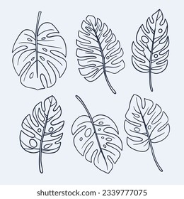 Las hojas de Monstera. Esquema de hoja de Monstera. ilustración a mano de monstera. Ilustración vectorial. La jungla tropical Monstera deja aislada en el fondo blanco. Planta Suiza de Queso. Monesterae. bosquejo