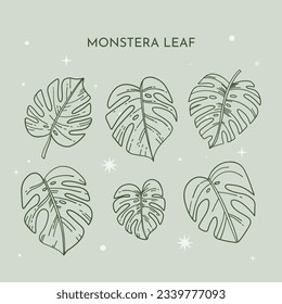 Las hojas de Monstera. Esquema de hoja de Monstera. ilustración a mano de monstera. Ilustración vectorial. La jungla tropical Monstera deja aislada en el fondo blanco. Planta Suiza de Queso. Monesterae. bosquejo