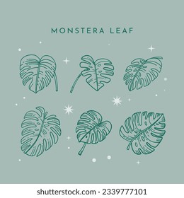 Las hojas de Monstera. Esquema de hoja de Monstera. ilustración a mano de monstera. Ilustración vectorial. La jungla tropical Monstera deja aislada en el fondo blanco. Planta Suiza de Queso. Monesterae. bosquejo