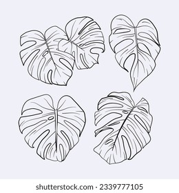 Monstera leaves. Monstera leaf outline. hand drawn monstera leaf illustration. Vector Illustration. Tropical jungle Monstera leaves isolated on white background. Swiss Cheese Plant. Monstereae. sketch