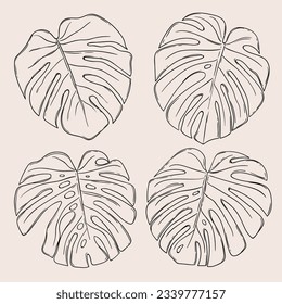 Monstera leaves. Monstera leaf outline. hand drawn monstera leaf illustration. Vector Illustration. Tropical jungle Monstera leaves isolated on white background. Swiss Cheese Plant. Monstereae. sketch