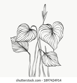 Monstera leaves line art. abstract modern or minimal plants line. perfect for home decor such as posters. vector illustrations design.