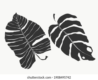 Monstera leaves line art. abstract modern or minimal plants line. perfect for home decor such as posters. vector illustrations design.