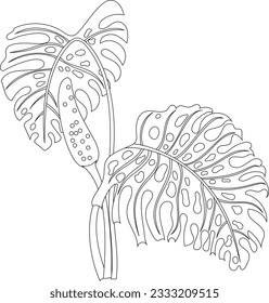 Monstera leaves line art. Abstract modern or minimal plants line. Perfect for home decor such as posters. Vector illustrations design.