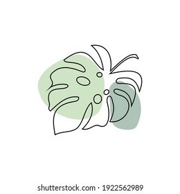 Monstera deja un icono lineal. Vinos tropicales. Planta de queso suizo.