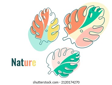 Monstera leaves in modern paper cut style. Multi-colored parts. Can be used for advertising and promotion. Vector illustration