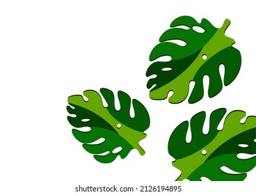 Monstera leaves in modern paper cut style. Multi-colored parts. Can be used for advertising and promotion. Vector illustration