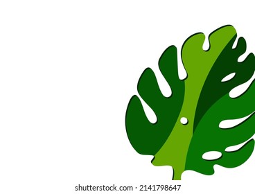 Monstera leaves in modern paper cut style. Multi-colored parts. Can be used for advertising and promotion. Vector illustration