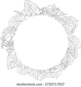 Monstera deixa em uma moldura redonda, esboço preto e branco. Ilustração vetorial. Folhas de árvores tropicais isoladas sobre fundo branco. Plantas verdes exuberantes da vida selvagem e folhagem fresca da selva.