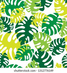 Monstera leaves on white background. Seamless pattern.