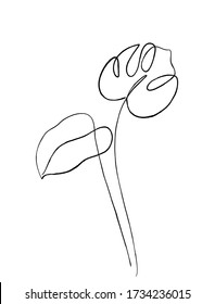 Monstera leaves one line drawing art. Continuous line style. Abstract minimal vector illustration