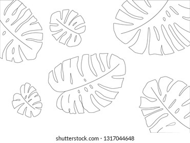 Monstera Leaves Outline	