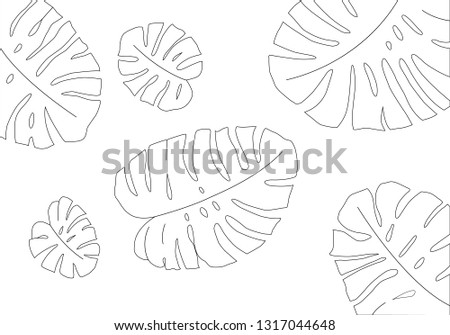 Monstera leaves outline	