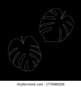 Monstera leaves outline on a black background