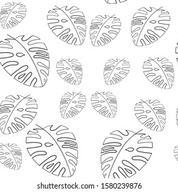 monstera leaves pattern on white background