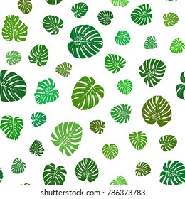 Monstera leaves pattern. Seamless tropical background in shades of green. Exotic vector illustration.