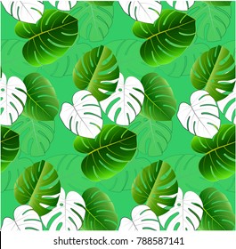 Monstera leaves pattern. Seamless tropical background in shades of green color with painted stripes. Black strokes exotic vector illustration.