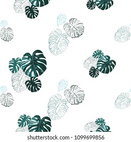 Monstera leaves pattern. Vintage square watercolor print with tropic leaves. Summer seamless pattern background with floral elements on white backdrop.