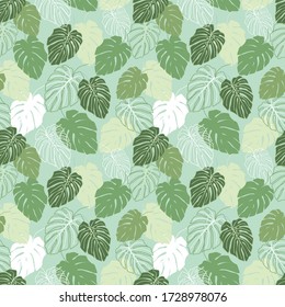 Monstera leaves seamless pattern design