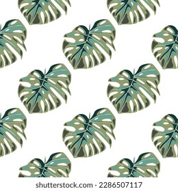 Monstera leaves seamless pattern. Exotic jungle plants endless wallpaper. Leaf background. Hawaiian rainforest floral backdrop. Design for fabric, textile print, wrapping, cover. Vector illustration
