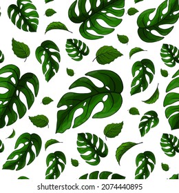 Monstera deja un patrón impecable sobre el fondo blanco. La textura interminable verde floral tropical. Exótico fondo ilimitado. Diseño superficial de plantas del paraíso veraniego