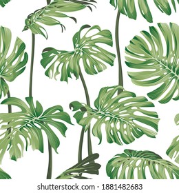 Las hojas de Monstera. Patrón tropical sin foco con hojas exóticas. Patrón claro y veraniego con monstera sobre fondo blanco. Patrón botánico exótico. ilustración vectorial.